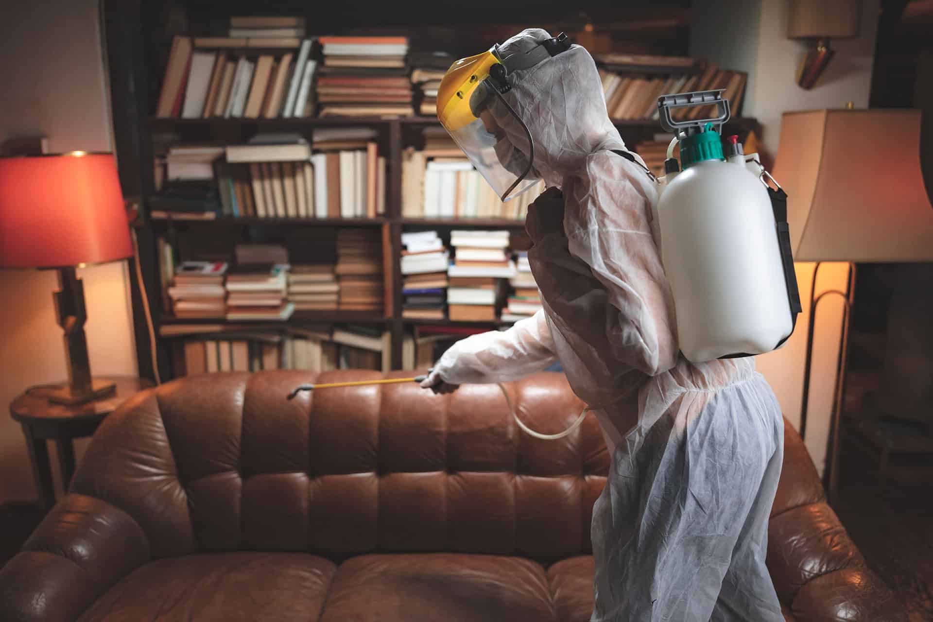 Decontamination process in progress during restoration.